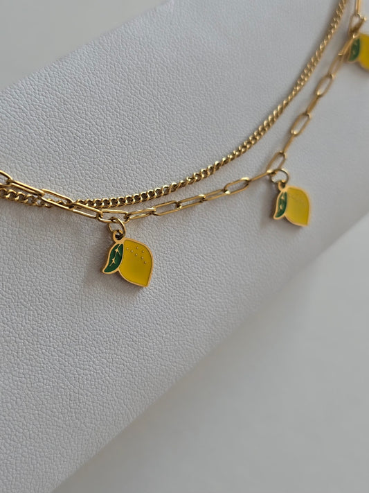 bracelet de cheville réglable 20 cm + rallonge 5 cm en acier inoxydable