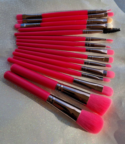 Lot 15 pinceaux NéonPink