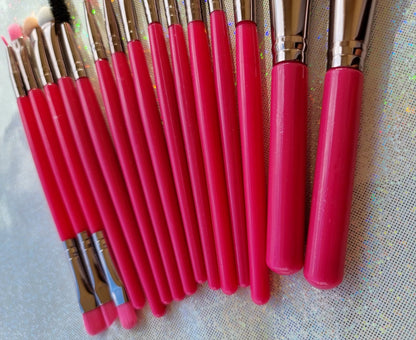 Lot 15 pinceaux NéonPink