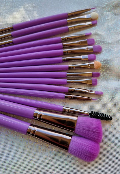 Lot 15 pinceaux Purple